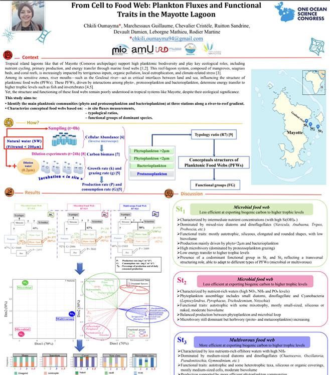 From Cell to Food Web: Plankton Fluxes and Functional Traits in the Mayotte Lagoon